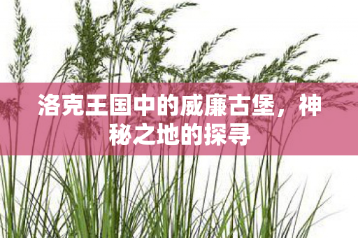 洛克王国中的威廉古堡，神秘之地的探寻