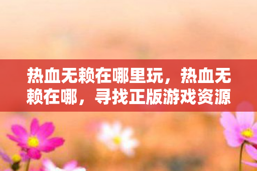 热血无赖在哪里玩，热血无赖在哪，寻找正版游戏资源指南