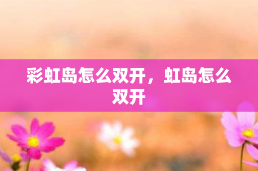 彩虹岛怎么双开，虹岛怎么双开