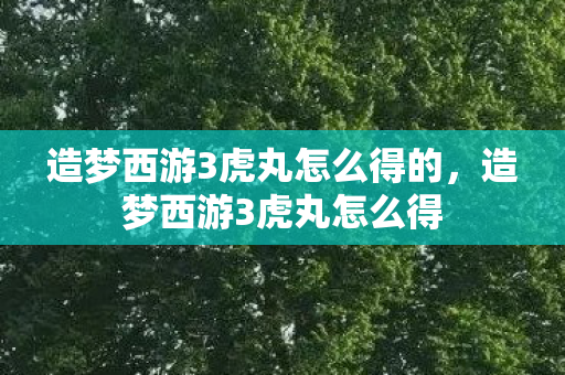 造梦西游3虎丸怎么得的，造梦西游3虎丸怎么得