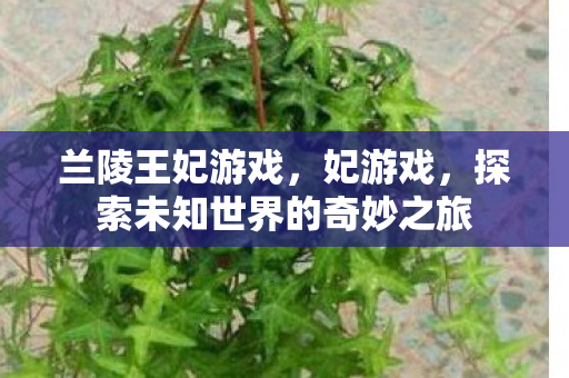 兰陵王妃游戏，妃游戏，探索未知世界的奇妙之旅