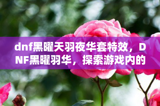 dnf黑曜天羽夜华套特效，DNF黑曜羽华，探索游戏内的独特魅力与玩家社区的文化