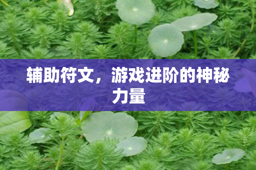辅助符文，游戏进阶的神秘力量