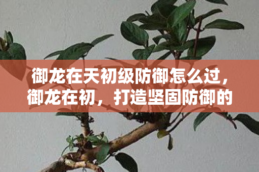 御龙在天初级防御怎么过，御龙在初，打造坚固防御的单人攻略