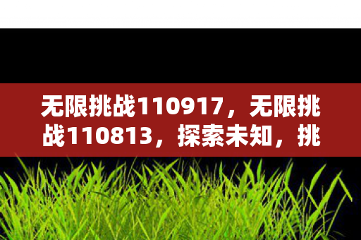 无限挑战110917，无限挑战110813，探索未知，挑战极限