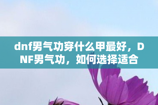 dnf男气功穿什么甲最好，DNF男气功，如何选择适合的甲类装备
