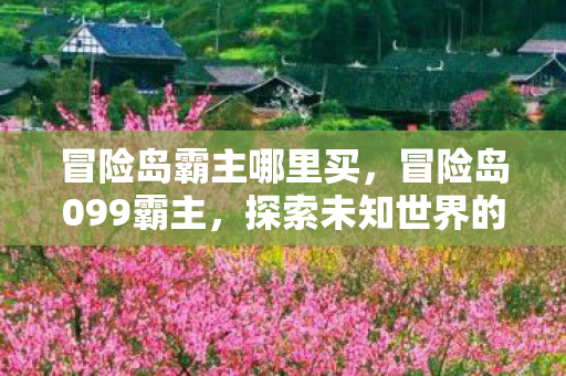 冒险岛霸主哪里买，冒险岛099霸主，探索未知世界的勇者之旅