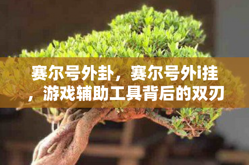 赛尔号外卦，赛尔号外i挂，游戏辅助工具背后的双刃剑