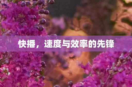 快播，速度与效率的先锋