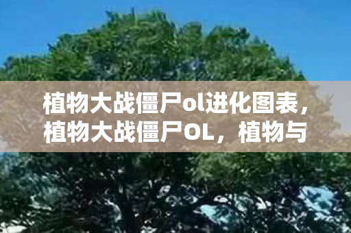 植物大战僵尸ol进化图表，植物大战僵尸OL，植物与僵尸的奇妙进化之旅