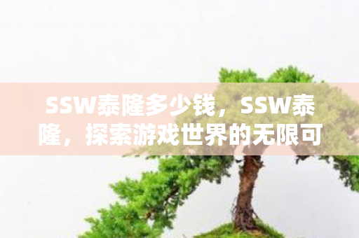 SSW泰隆多少钱，SSW泰隆，探索游戏世界的无限可能