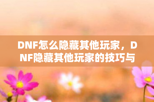 DNF怎么隐藏其他玩家，DNF隐藏其他玩家的技巧与策略