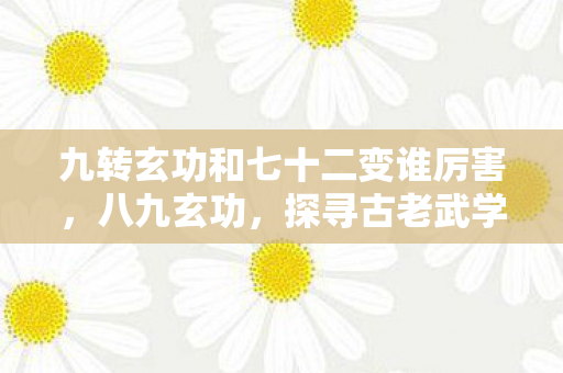 九转玄功和七十二变谁厉害，八九玄功，探寻古老武学的奥秘