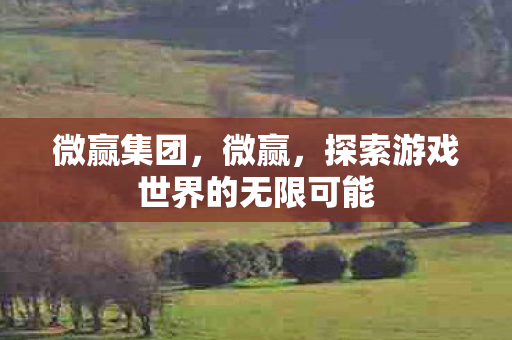 微赢集团，微赢，探索游戏世界的无限可能