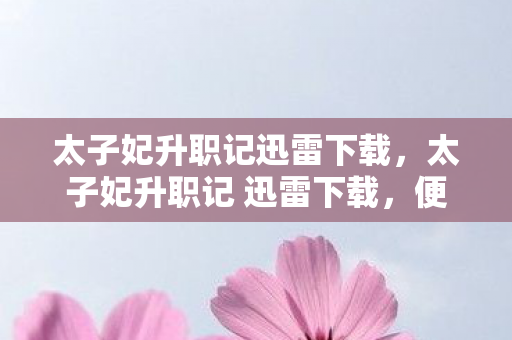 太子妃升职记迅雷下载，太子妃升职记 迅雷下载，便捷观影体验的背后