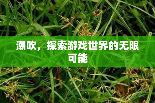潮吹，探索游戏世界的无限可能