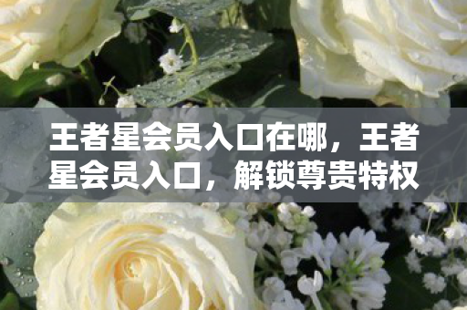 王者星会员入口在哪，王者星会员入口，解锁尊贵特权，畅享游戏新体验