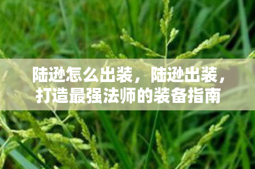 陆逊怎么出装，陆逊出装，打造最强法师的装备指南