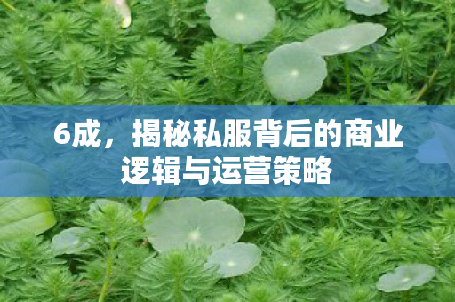 6成，揭秘私服背后的商业逻辑与运营策略
