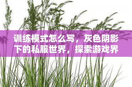 训练模式怎么写，灰色阴影下的私服世界，探索游戏界的隐秘角落