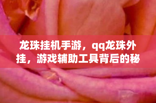 龙珠挂机手游，qq龙珠外挂，游戏辅助工具背后的秘密