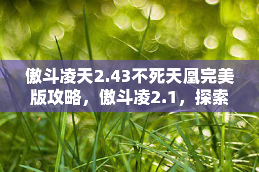 傲斗凌天2.43不死天凰完美版攻略，傲斗凌2.1，探索全新游戏世界的奇妙之旅