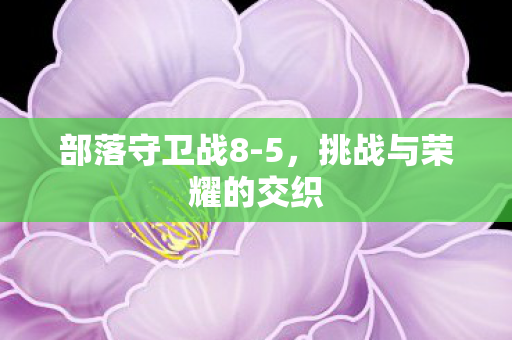 部落守卫战8-5，挑战与荣耀的交织