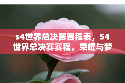 s4世界总决赛赛程表，S4世界总决赛赛程，荣耀与梦想的舞台