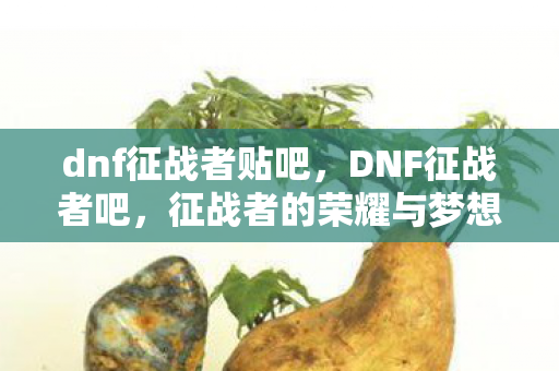 dnf征战者贴吧，DNF征战者吧，征战者的荣耀与梦想