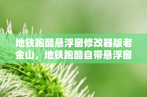 地铁跑酷悬浮窗修改器版老金山，地铁跑酷自带悬浮窗修改器版，游戏乐趣的新升级