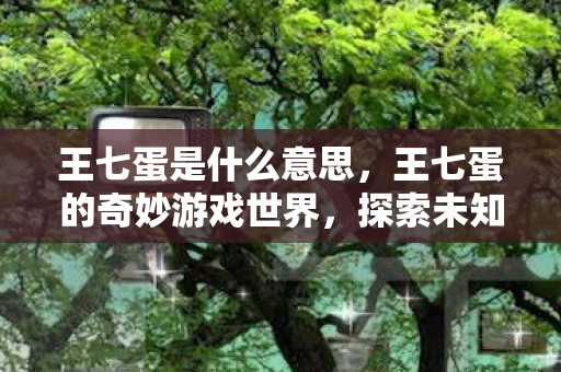王七蛋是什么意思，王七蛋的奇妙游戏世界，探索未知，畅享无限乐趣