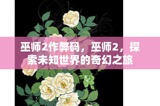 巫师2作弊码，巫师2，探索未知世界的奇幻之旅