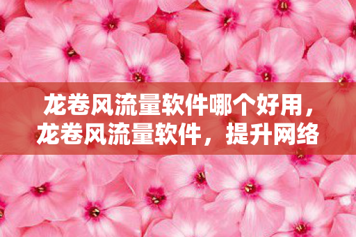 龙卷风流量软件哪个好用，龙卷风流量软件，提升网络效率，优化用户体验