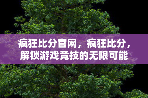 疯狂比分官网，疯狂比分，解锁游戏竞技的无限可能