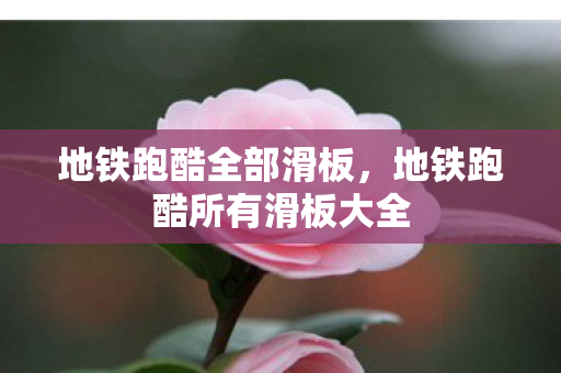 地铁跑酷全部滑板，地铁跑酷所有滑板大全