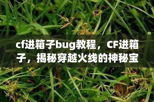 cf进箱子bug教程，CF进箱子，揭秘穿越火线的神秘宝箱系统