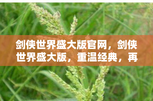 剑侠世界盛大版官网，剑侠世界盛大版，重温经典，再续江湖情缘