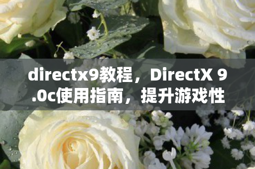 directx9教程，DirectX 9.0c使用指南，提升游戏性能与兼容性的全面解析