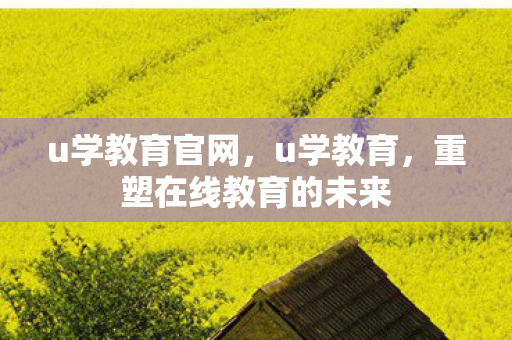 u学教育官网，u学教育，重塑在线教育的未来