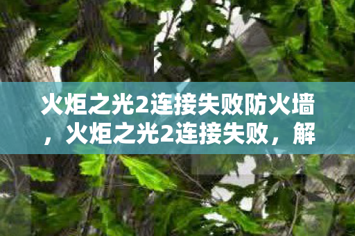 火炬之光2连接失败防火墙，火炬之光2连接失败，解决之道与游戏体验优化