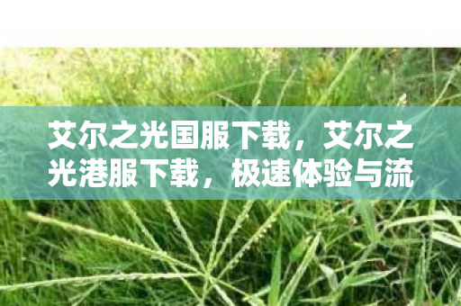 艾尔之光国服下载，艾尔之光港服下载，极速体验与流畅游戏的秘诀