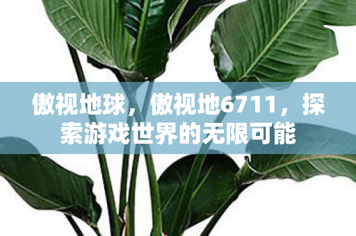 傲视地球，傲视地6711，探索游戏世界的无限可能