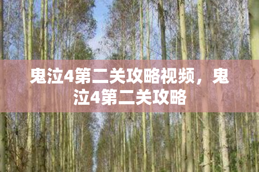 鬼泣4第二关攻略视频，鬼泣4第二关攻略