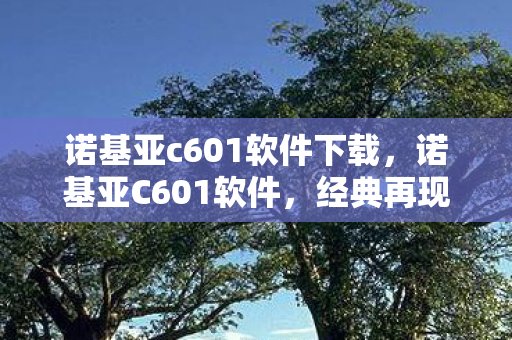 诺基亚c601软件下载，诺基亚C601软件，经典再现，智能新体验