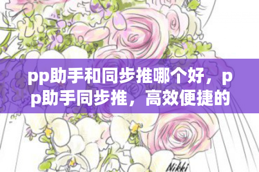 pp助手和同步推哪个好，pp助手同步推，高效便捷的应用分发与管理工具