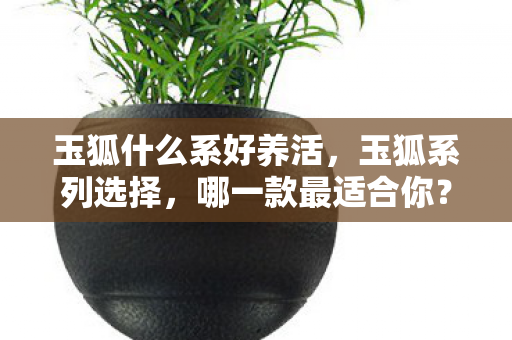 玉狐什么系好养活，玉狐系列选择，哪一款最适合你？
