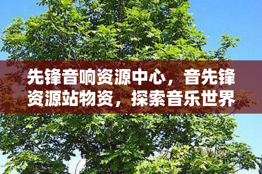 先锋音响资源中心，音先锋资源站物资，探索音乐世界的宝藏