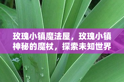 玫瑰小镇魔法屋，玫瑰小镇神秘的魔杖，探索未知世界的奇幻之旅