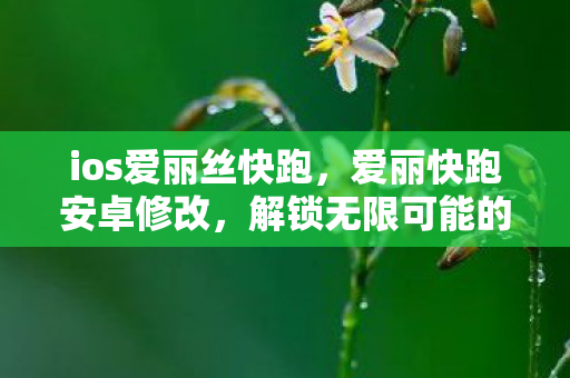 ios爱丽丝快跑，爱丽快跑安卓修改，解锁无限可能的趣味跑酷新体验