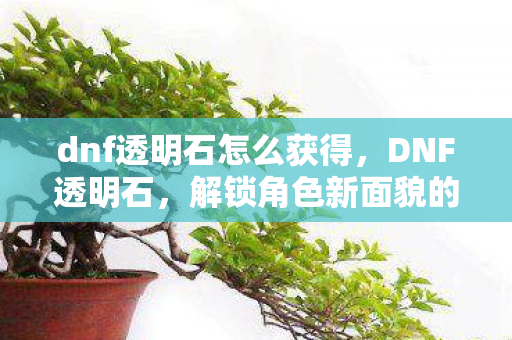 dnf透明石怎么获得，DNF透明石，解锁角色新面貌的神秘宝石